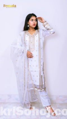Organza pakistani two piece (imported)